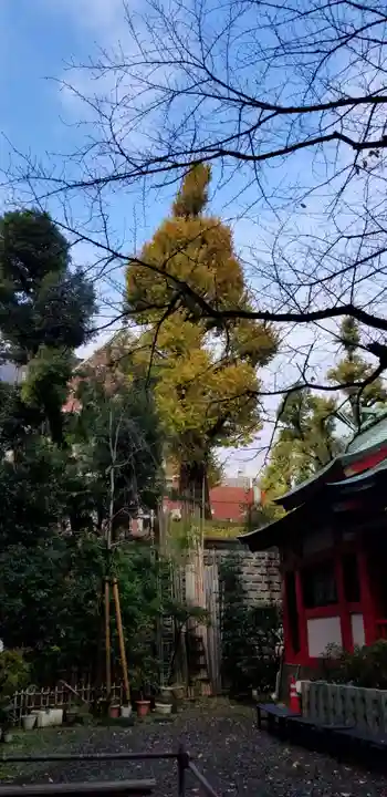 三田春日神社の自然