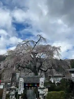 林陽寺の{uncategorized: "未分類", other: "その他", undefined: "問題あり", building: "その他建物", grave: "お墓", sacred_gate: "鳥居", guardian: "狛犬", statue: "像", buddha: "仏像", history: "歴史", nature: "自然", garden: "庭園", animal: "動物", pagoda: "塔", temizu: "手水舎", mountain_gate: "山門・神門", sanctuary: "本殿・本堂", subordinate: "末社・摂社", art: "芸術", scenery: "景色", jizo: "地蔵", ema: "絵馬", goshuin: "御朱印", omikuji: "おみくじ", items: "授与品その他", amulet: "お守り", goshuincho: "御朱印帳", eats: "食事", festival: "お祭り", votive_dance: "神楽", shichigosan: "七五三参", wedding: "結婚式", experience: "体験その他", initially: "初詣", around: "周辺", anti_infection: "感染症対策"}