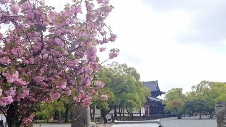 東寺(教王護国寺)の庭園