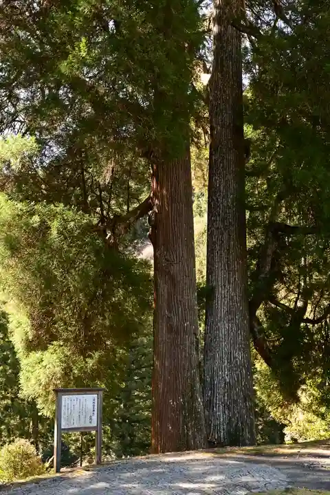河内白王神社(高知県)