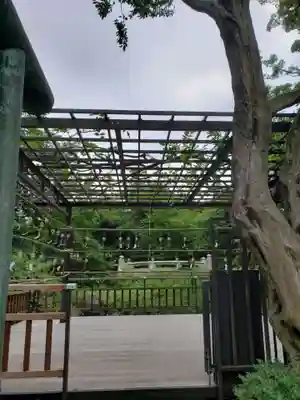 東郷神社(東京都)