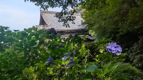 岡寺（龍蓋寺）(奈良県)