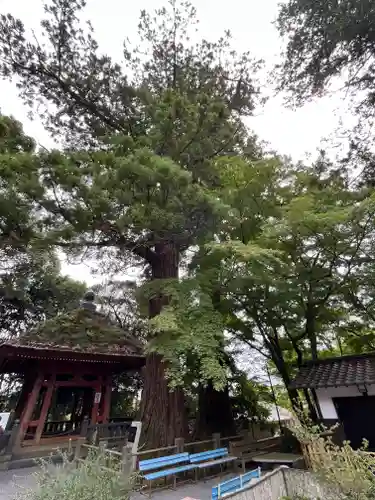 宝城坊(神奈川県)