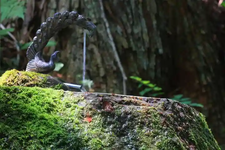 紀伊宮神社(福島県)
