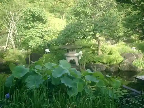 長谷寺の庭園