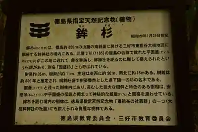 鉾神社(徳島県)