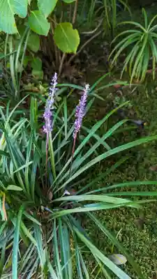 尊陽院(京都府)