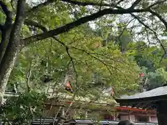 丹生都比売神社(和歌山県)