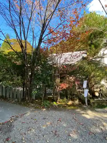 新大佛寺の自然