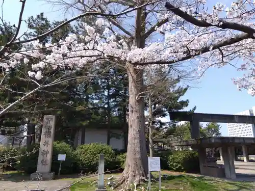福井神社(福井県)