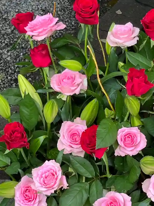 上尾御嶽神社(埼玉県)