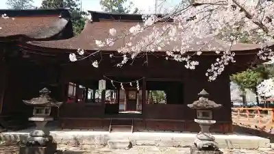 大井俣窪八幡神社の本殿・本堂