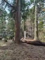 八重垣神社(小斎)(宮城県)