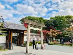 塩竈神社の鳥居