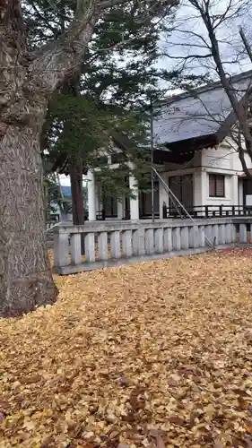 妹背牛神社の自然