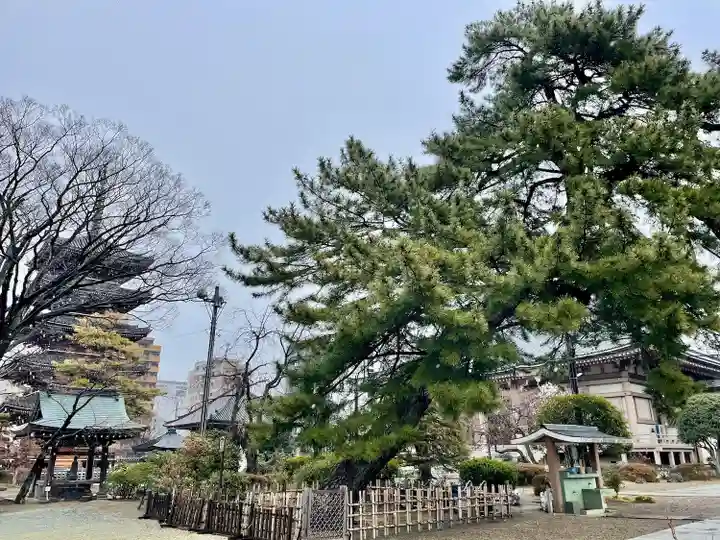 孝勝寺(宮城県)