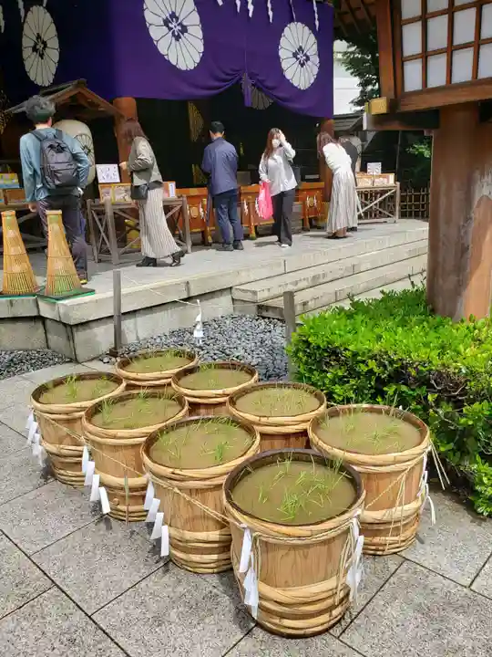 東京大神宮(東京都)