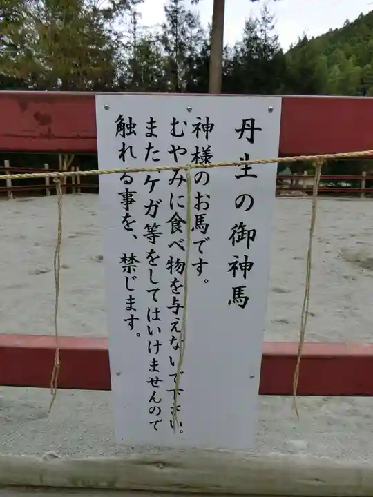 丹生川上神社(下社)(奈良県)