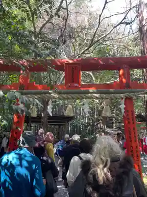 野宮神社(京都府)