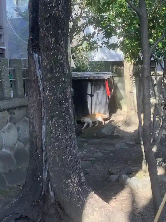 冨士八幡社(愛知県)