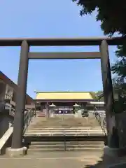 千葉縣護國神社の鳥居