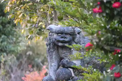 豊景神社の狛犬