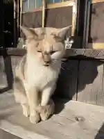 一心寺・一心禅寺(愛知県)