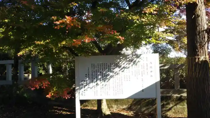 岸町浅間神社の自然