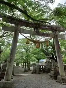 天鷹神社の鳥居(2022年05月10日(火) 20時41分41秒投稿)