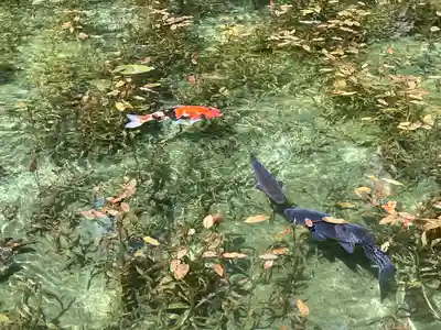 根道神社(岐阜県)