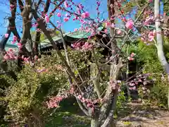 豊國神社の自然