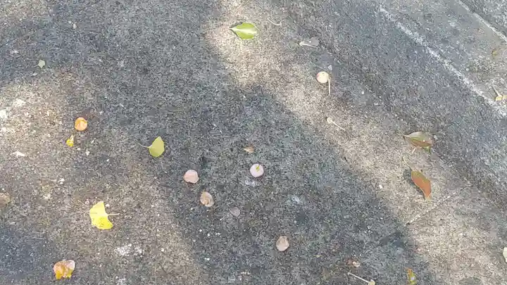 筥崎宮(福岡県)