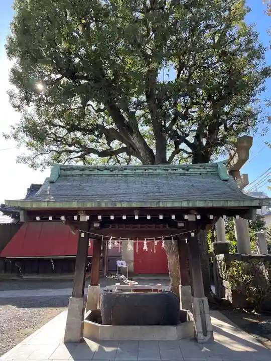 麻布氷川神社の手水舎