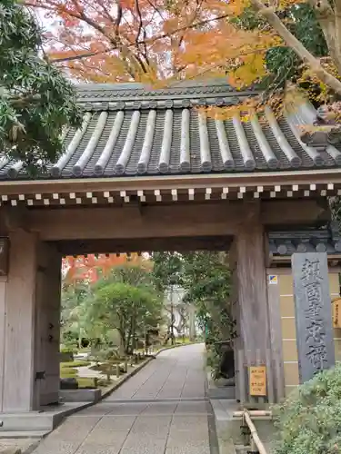 報国寺の山門