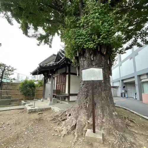 稼穡稲荷社の自然