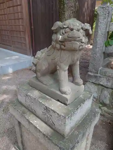 白峯神宮の狛犬