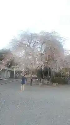 新町御嶽神社(東京都)