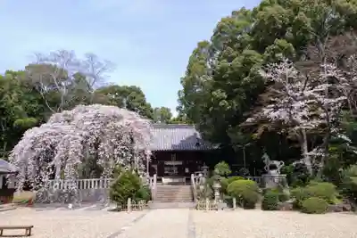 土呂八幡宮(愛知県)