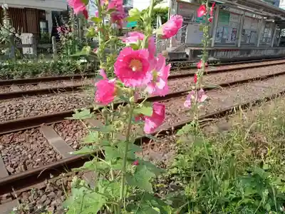 太子堂八幡神社(東京都)