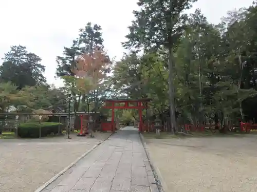 大原野神社の鳥居