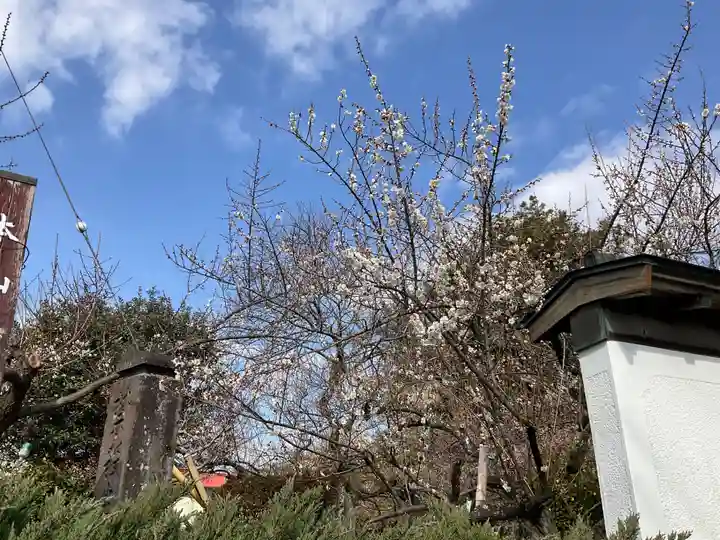 大光院(神奈川県)