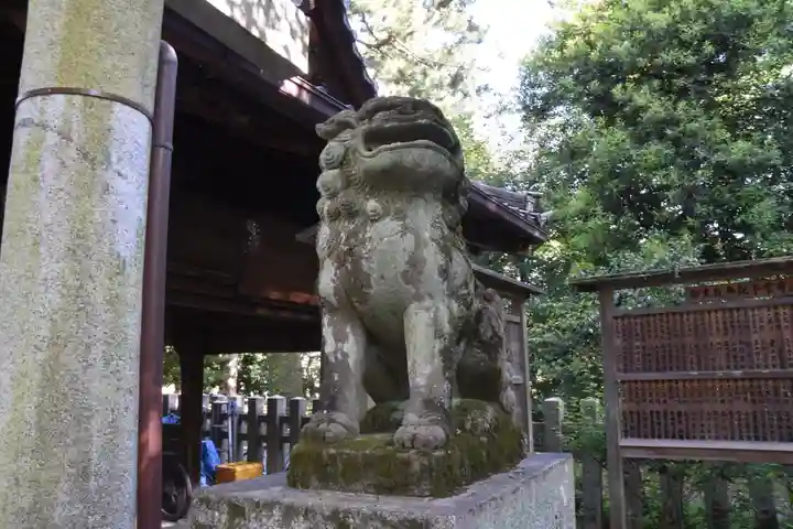 白雲神社の狛犬