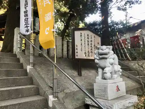 自由が丘熊野神社の狛犬