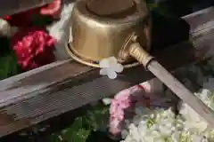 豊景神社の手水