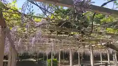 熊野神社(福岡県)