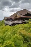 清水寺の{uncategorized: "未分類", other: "その他", undefined: "問題あり", building: "その他建物", grave: "お墓", sacred_gate: "鳥居", guardian: "狛犬", statue: "像", buddha: "仏像", history: "歴史", nature: "自然", garden: "庭園", animal: "動物", pagoda: "塔", temizu: "手水舎", mountain_gate: "山門・神門", sanctuary: "本殿・本堂", subordinate: "末社・摂社", art: "芸術", scenery: "景色", jizo: "地蔵", ema: "絵馬", goshuin: "御朱印", omikuji: "おみくじ", items: "授与品その他", amulet: "お守り", goshuincho: "御朱印帳", eats: "食事", festival: "お祭り", votive_dance: "神楽", shichigosan: "七五三参", wedding: "結婚式", experience: "体験その他", initially: "初詣", around: "周辺", anti_infection: "感染症対策"}