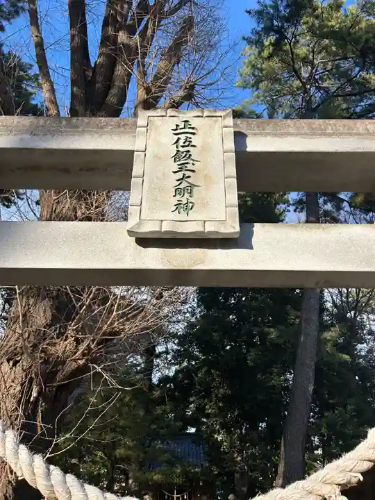 開運招福 飯玉神社(群馬県)