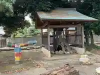 箱田神社の自然