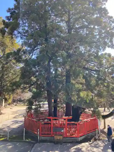 香椎宮(福岡県)