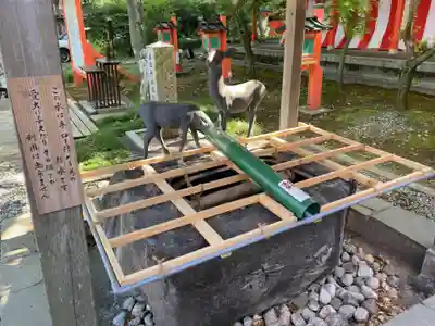 相州春日神社の手水舎